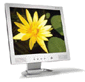 Acer_AL1531_Small.gif (7198 Byte)