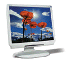Acer_AL2021_Small.gif (9040 Byte)